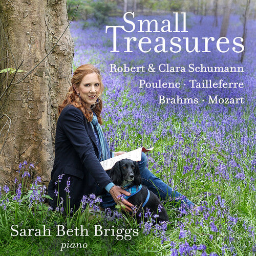 Small Treasures -- Sarah Briggs, CD