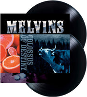 Colossus Of Destiny