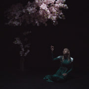 As The Light Left