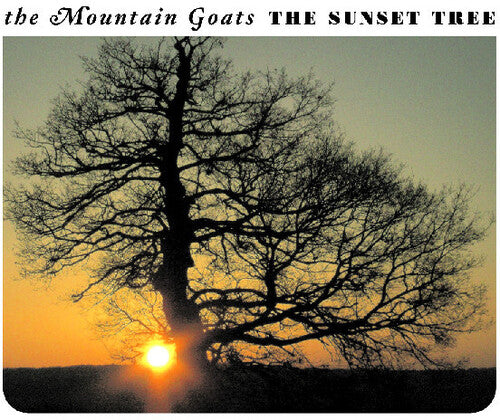 Sunset Tree