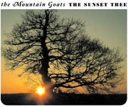 Sunset Tree