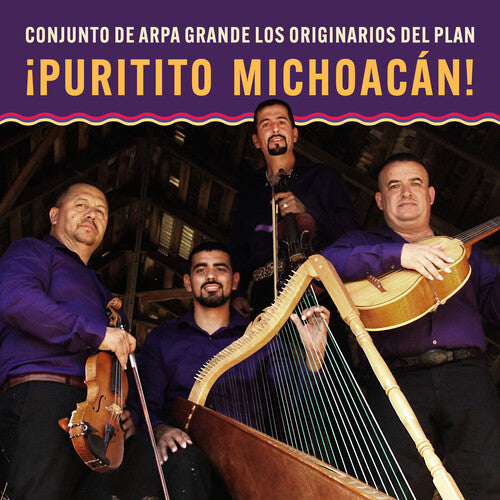 Puritito Michoacan: Conjunto De Arpa Grande