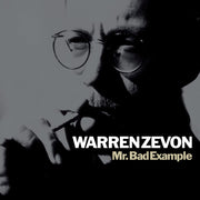 Mr Bad Example