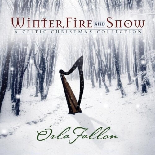 Winter Fire & Snow