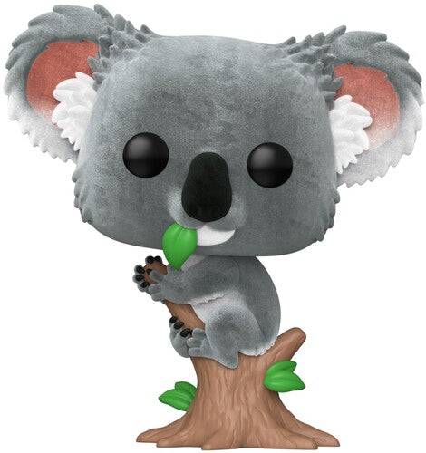 Pop Australian Animals Koala Fl