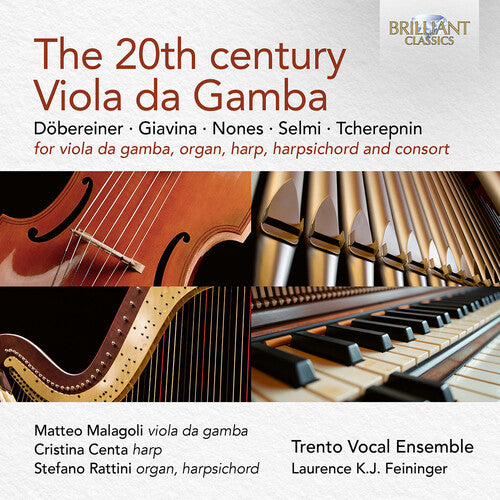 20Th Century Viola Da Gamba