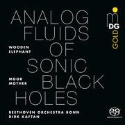 Analog Fluids Of Sonic Black Holes