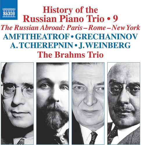 History Of The Russian Pno Trio Vol. 9