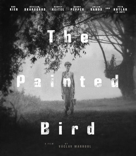 Painted Bird