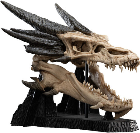 Hobbit Trilogy - Skull Of Smaug Miniature Skull, Open Edition Polystone, Collectibles