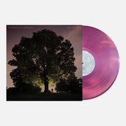 Celestun - Magenta