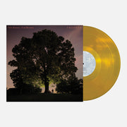 Celestun - Gold