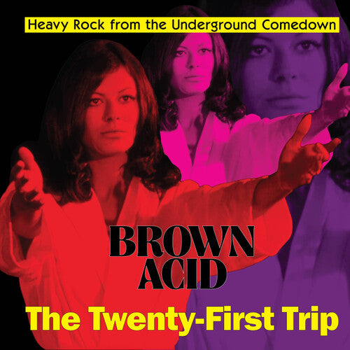 Brown Acid - The Twenty-First Trip / Various
