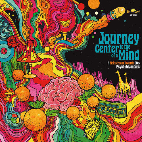 Journey To The Center Of A Mind: A / Various