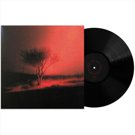 Piss In The Wind, Joji, LP