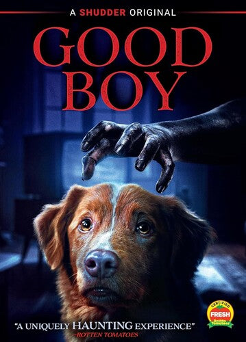 Good Boy, Good Boy, DVD