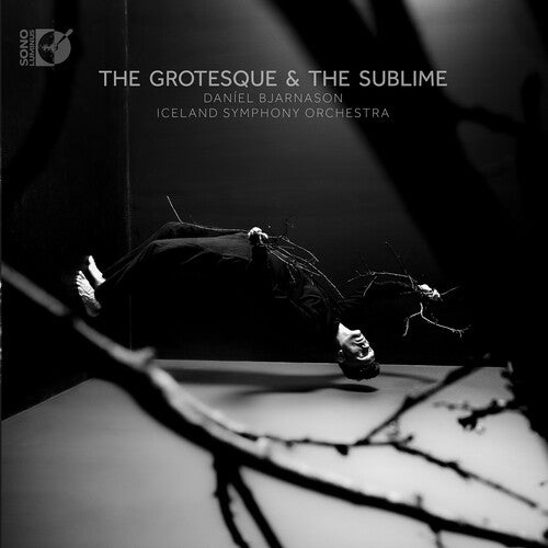 Grotesque & The Sublime