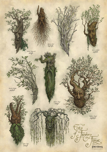 Art Print - Ent's Of Fangorn Forest, Art Print - Ent's Of Fangorn Forest, Collectibles