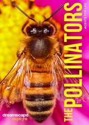 Dreamscape Explore: The Pollinators Agents For