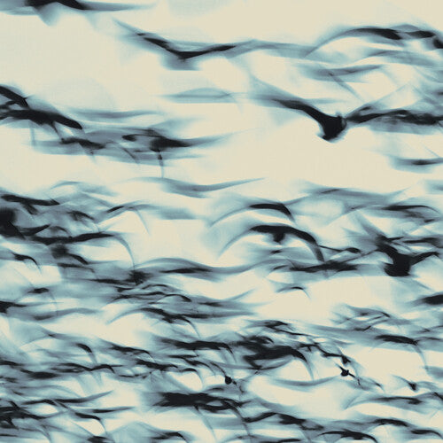 Call, Bellbird, LP
