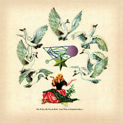 Fallen By Watch Bird