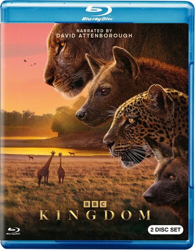 Kingdom