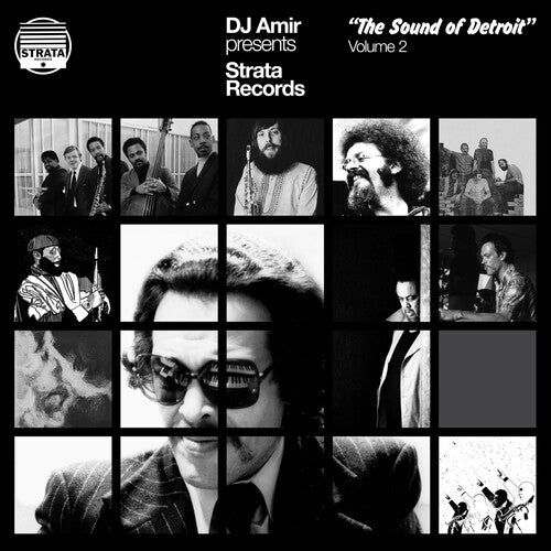 Dj Amir Presents Strata Records: Sound Of Detroit