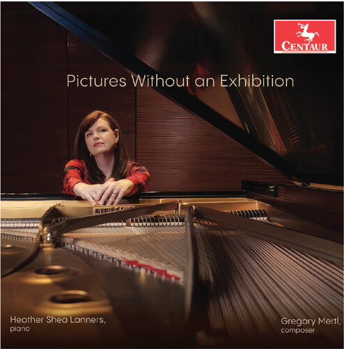 Pictures Without An Exhibition