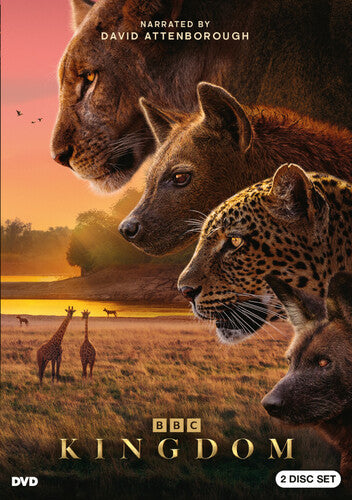 Kingdom, Kingdom, DVD
