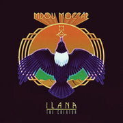 Ilana (The Creator)