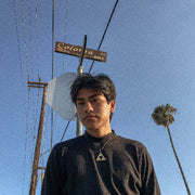 Early Days (2016-2019)
