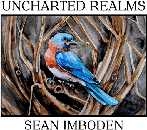 Uncharted Realms