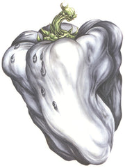 White Pepper
