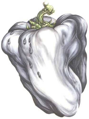 White Pepper