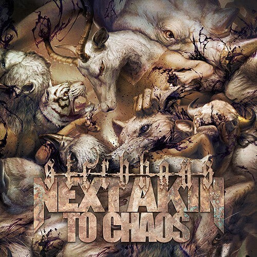 Next Akin To Chaos