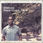 Rock Creek Park - Gold Forest