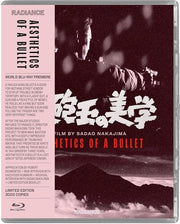 Aesthetics Of A Bullet