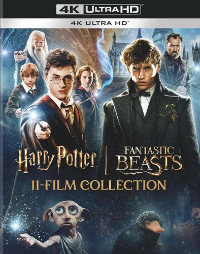 Harry Potter & Fantastic Beasts 11-Film Collection