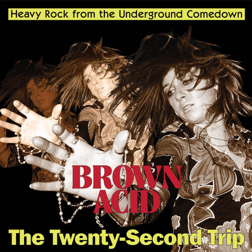 Brown Acid - Twenty-Second Trip / Various