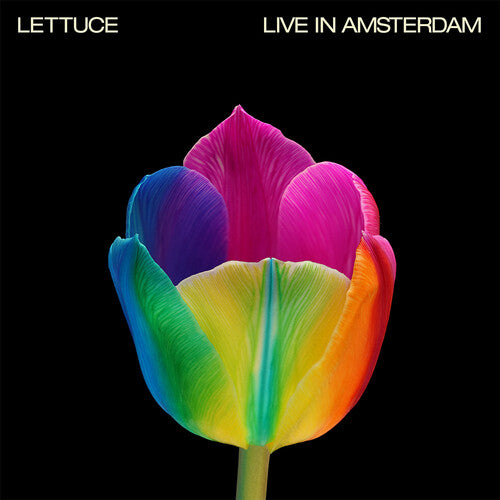 Live In Amsterdam - Pink, Lettuce, LP
