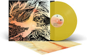 Focus - Yellow