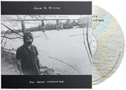 Great Unknowing