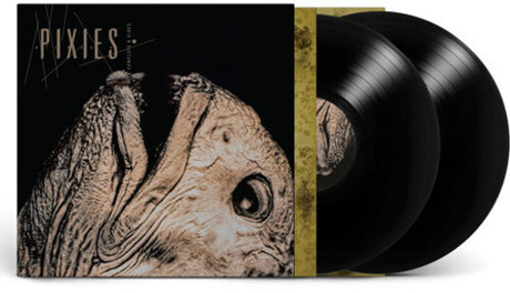 Complete B Sides: 1988-97, Pixies, LP