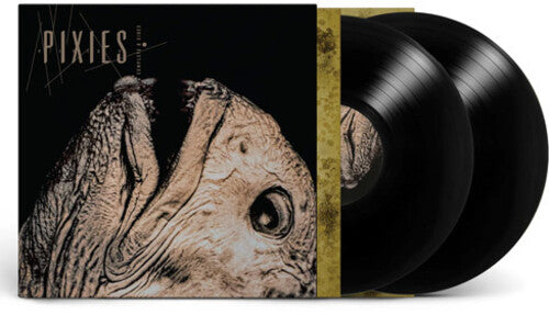 Complete B Sides: 1988-97, Pixies, LP