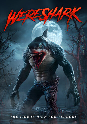 Wereshark -- DVD