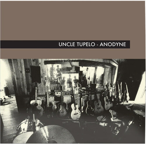 Anodyne
