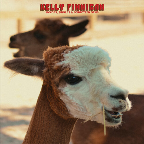 B-Sides Singles & Forgotten Gems -- Kelly Finnigan, LP