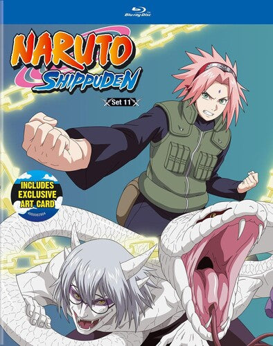 Naruto Shippuden - Set 11 -- Blu-ray