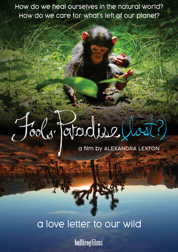 Fools' Paradise (Lost) -- DVD