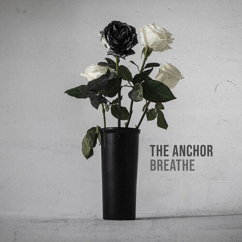 Anchor -- CD